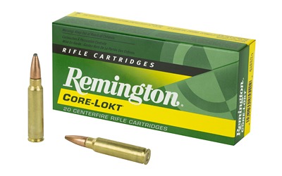 remington 300 savage