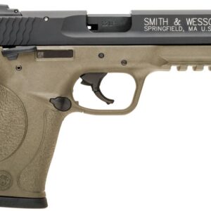 SW M&P22 CMPT 22LR FDE 10RD