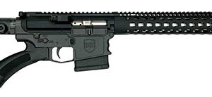 DS*10 Featureless Light 308