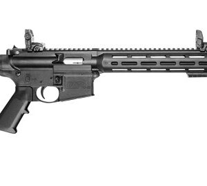 SW M&P15-22 SPORT 10RD CA