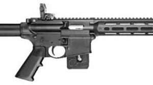 SW M&P15-22 SPORT 16.5'' 10 MA