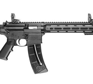 SW M&P15-22 SPORT 16.5'' 25RD