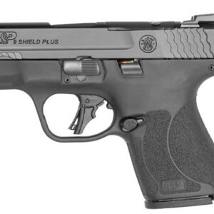 SW M&P9 SHLD+ NTS OR 10RD