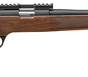 SPR 2020 CL STN WLNT 22LR