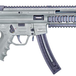 GSG GSG-16 CARBINE RIA 22LR 16.25 SYN 22-RD SMOKE GREY