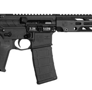 DB15 OBSDN 556 NATO 11.5 MLOK PMAG Brace Blk 30rd