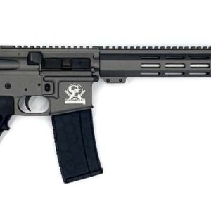 GREAT LAKES FIREARMS GL-15 RIA 223 WYLDE 16IN BBL ORC TUNGSTEN/SS  30RD MAG