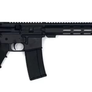 GREAT LAKES FIREARMS GL-15 RIA 223 WYLDE 16IN BBL ORC  BLACK/SS  30RD MAG