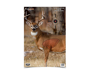 BC35401_1 - GunHippo