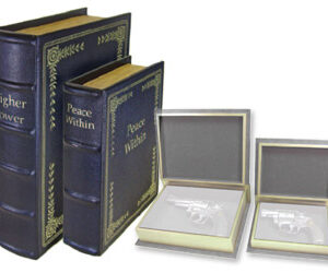 PS DIVERSION BOOKS - SET OF 2