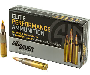 SIG AMMO 223REM 40GR V&P 20/200