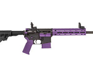 TIPPMANN M4-22 ACCENT 22LR 10RD PRP