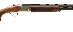 SAV STEVENS 555 E 28/26 WLNT