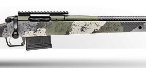 SPR 2020WP 308 CF 20 EVGRN 5