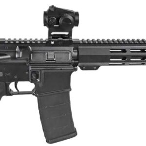 Midnight Bundle 5.56 16" Vrtx Rd Dot 30rd