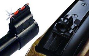 WILLIAMS FIRE SIGHT PEEP SET - FOR RUGER 10/22 RIFLES