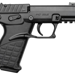 P17 22LR 3.93" Black 16rd