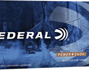FEDERAL POWER-SHOK 300 AAC - 150GR SP 20RD 10BX/CS