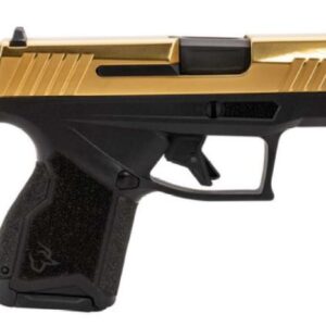 GX4 9MM 3.0" Blk/PVD Gold  (2) 10rd