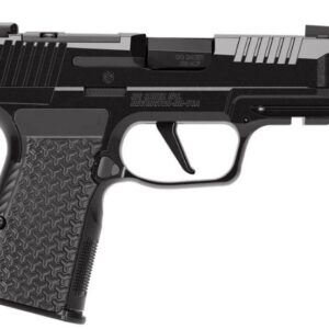 P365 AXG LUXE 380ACP 3.1 OR Xray3 Blk (3)12rd