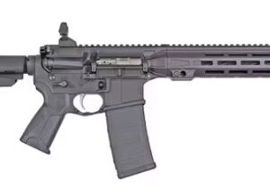 ICMKII 5.56 12"  MLOK SBA Brace Black 30-rd