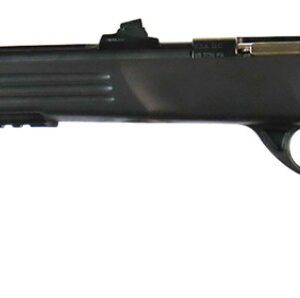 Crickett Adult Pstl 22LR 10.5" TB Blk/Blued 1rd
