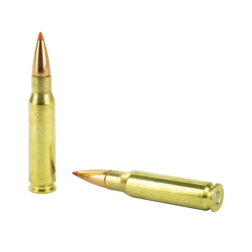 19334-14142151webp - GunHippo