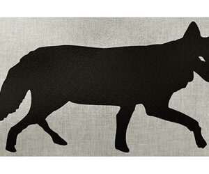 ALLEN EZAIM INFRARED ID COYOTE 24X12