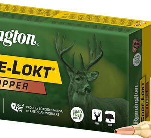 REMINGTON 300 AAC 120GR COPPER - CORE-LOKT HP 20RD 10BX/CS