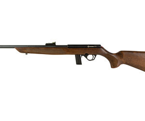 ROSSI RB 22LR 18" 10RD WOOD