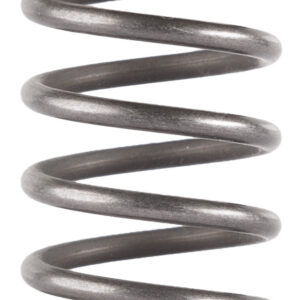 DAIR PISTON SPRING FOR GHOST ODESSA MOJAVE 9