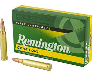 REM 300WIN 150GR PSP CL 20/200