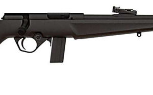 RB22 COMPACT 22LR 16.5" BK/BK 10RDS