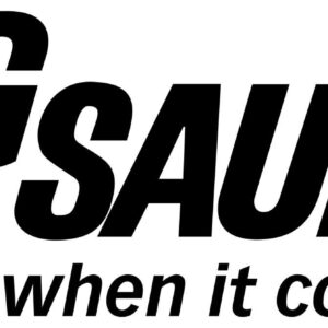 SIG SAUER P229 9MM 3.9IN ELITE BLK DA/SA SIGLITE E2 GRIP 2 15RD STEEL MAG SRT OPTIC READY