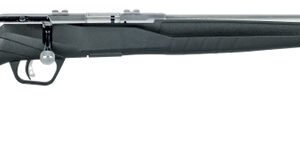 B17FVSS 17HMR 21" 10rd