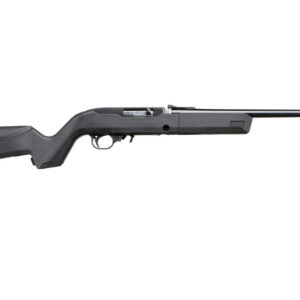 RUG 10/22 22LR 10RD B 4MAGS TL