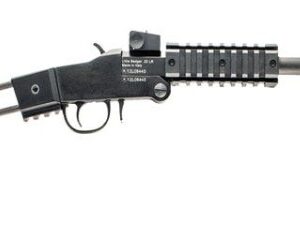 Little Badger 17hmr 16.5" Blk