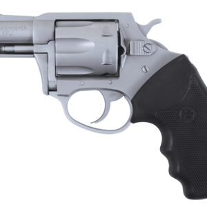 Char Undercover Police 38 2.2" SS/FS 6rd
