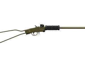 CHIAPPA LITTLE BADGER 22LR 16.5" GR