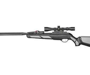 GAMO SWARM VIPER 10X GEN3I INRTIA 22