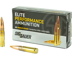 SIG AMMO 300BLK 220GR OTM 20/500