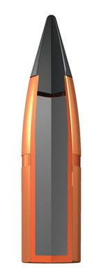 ax243ds_bullet_3 - GunHippo