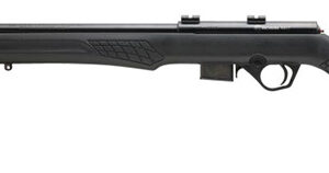Rossi RB B/A Rfl 17HMR 21" Blk/Blk 5rd