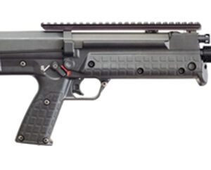 RFB Carbine 308 24" Blk W/Rail 1/10