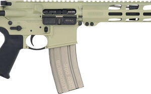 RUGER AR556 MPR 300 AAC MAGPUL - MOE GRIP & SL STOCK 16.1"