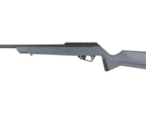 SAV RXR22 22LR 16.5" 10RD GRAY/BLK