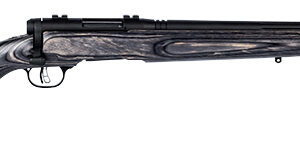 B-Mag 17WSM 22" Bl Hvy Gry Syn 8shot