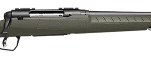 AXIS 2 .308 Win 22" Blk/Grn Syn 4-rd