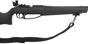 DAISY AVANTI 753S MATCH GRADE - AIR RIFLE .177 PELLET