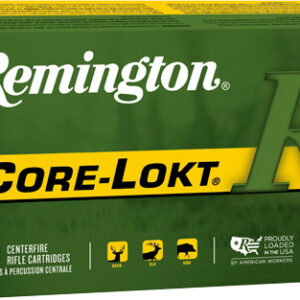 REMINGTON 450 BM 300GR - CORE-LOKT PSP 20RD 10BX/CS